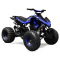 ATV Quadriciclo Speedbird 110