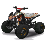 ATV Quadriciclo Speedbird 125 Pro