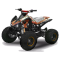 ATV Quadriciclo Speedbird 125 Pro