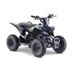 Mini ATV 49CC - Warrior 6"