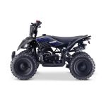 Mini ATV 49CC - Warrior 6"