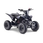 Mini ATV 49CC - Warrior 6"